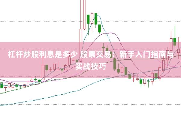 杠杆炒股利息是多少 股票交易：新手入门指南与实战技巧