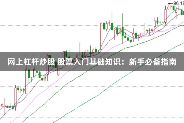 网上杠杆炒股 股票入门基础知识：新手必备指南