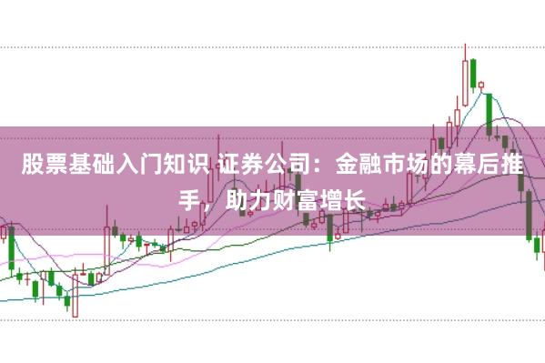 股票基础入门知识 证券公司：金融市场的幕后推手，助力财富增长