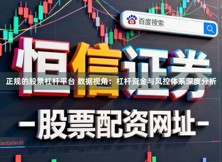 正规的股票杠杆平台 数据视角：杠杆资金与风控体系深度分析